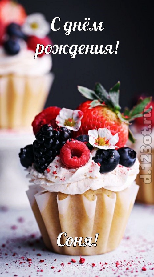 шикарная открытка с днём рождения соня, скачать онлайн бесплатно на iphone для вацап, поздравление соня