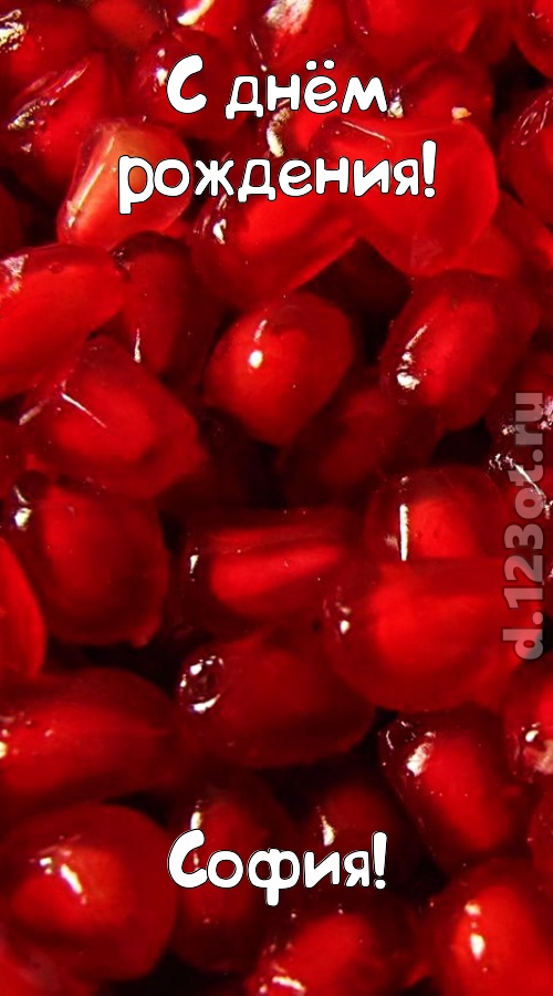 ясная открытка с днём рождения софия, скачать онлайн бесплатно на iphone для вацап, поздравление софия