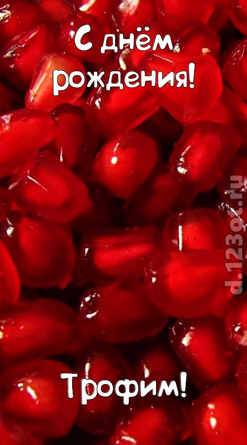 ясная открытка с днём рождения трофим, скачать онлайн бесплатно на iphone для вацап, поздравление трофим
