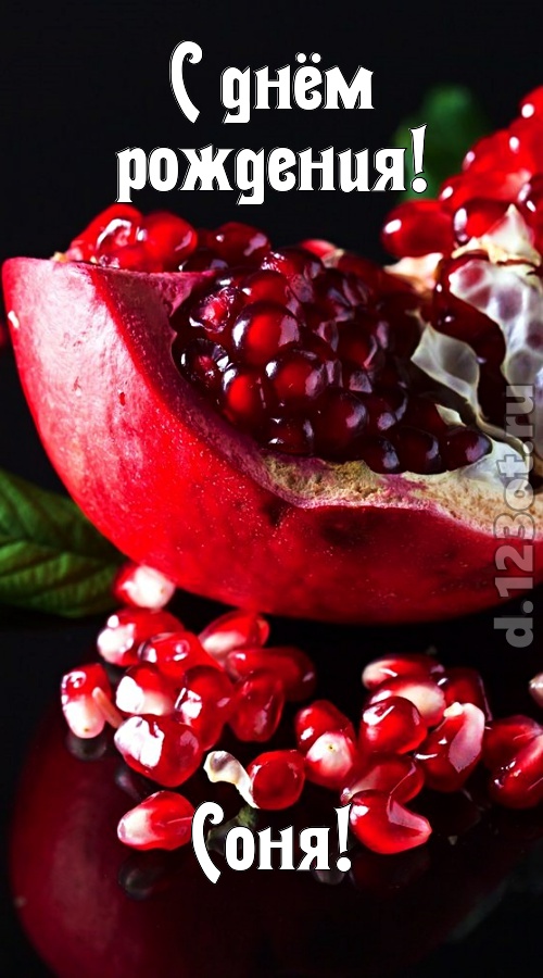 прикольная открытка с днём рождения соня, скачать онлайн бесплатно на iphone для вацап, поздравление соня