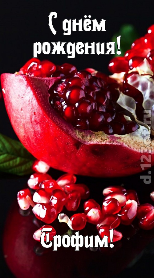 прикольная открытка с днём рождения трофим, скачать онлайн бесплатно на iphone для вацап, поздравление трофим