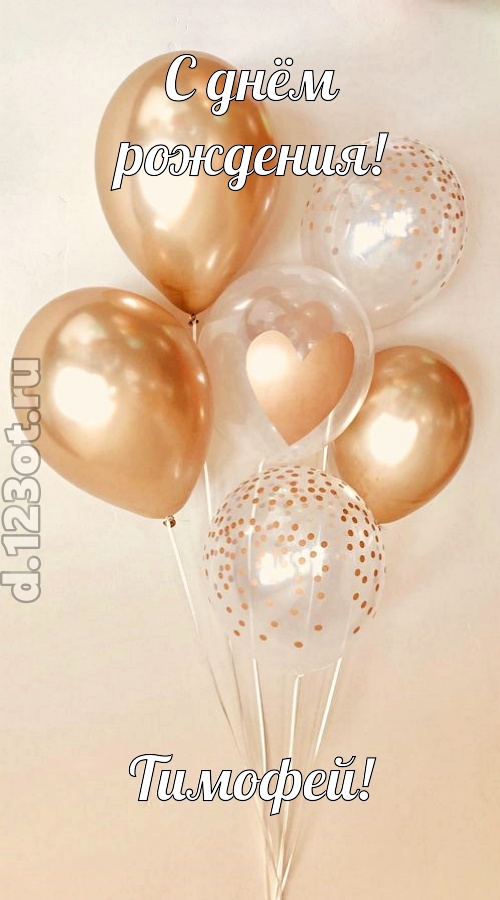 дивная открытка с днём рождения тимофей, скачать онлайн бесплатно на iphone для вацап, поздравление тимофей