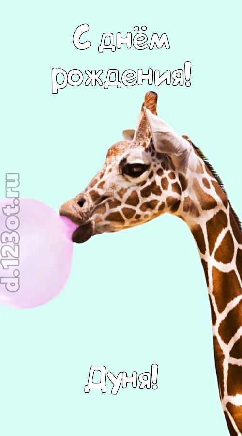 доброжелательная открытка с днём рождения дуня, скачать онлайн бесплатно на iphone для вацап, поздравление дуня