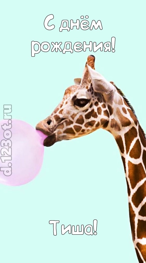 доброжелательная открытка с днём рождения тиша, скачать онлайн бесплатно на iphone для вацап, поздравление тиша