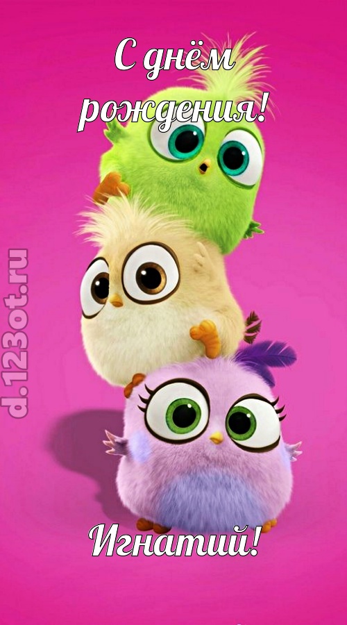 жаркая открытка с днём рождения игнатий, скачать онлайн бесплатно на iphone для вацап, поздравление игнатий