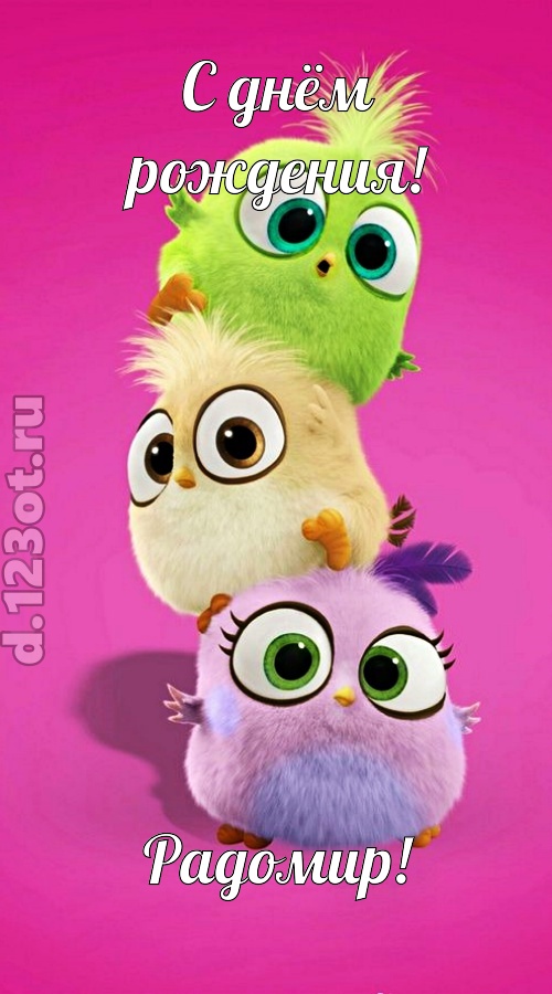 жаркая открытка с днём рождения радомир, скачать онлайн бесплатно на iphone для вацап, поздравление радомир