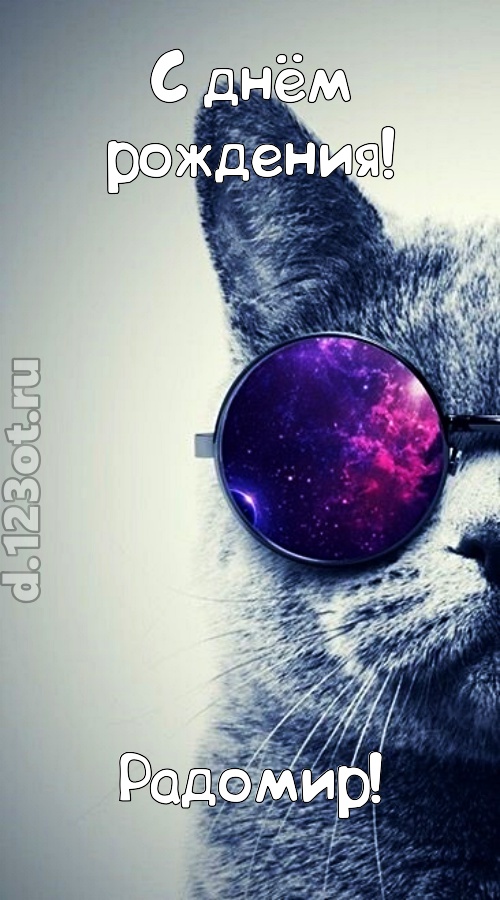 задиристая открытка с днём рождения радомир, скачать онлайн бесплатно на iphone для вацап, поздравление радомир