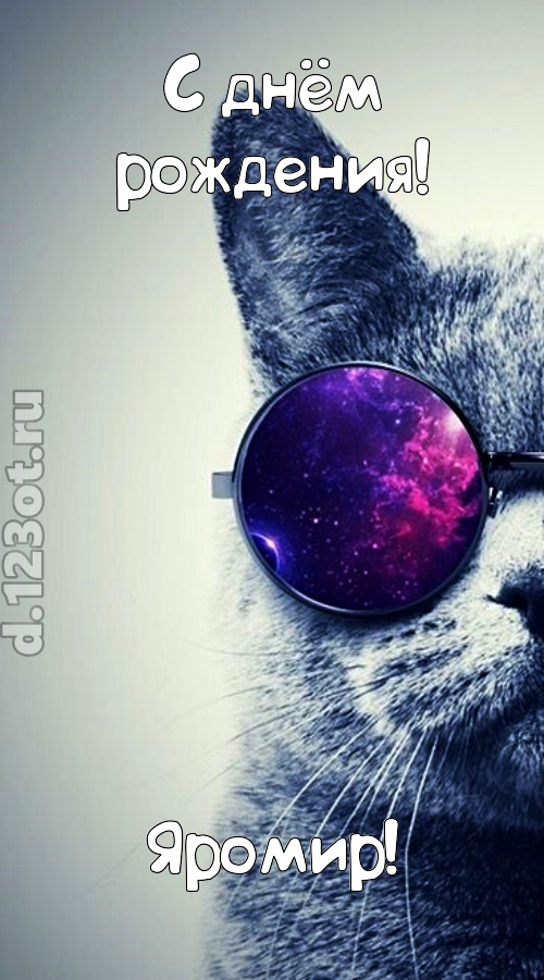 задиристая открытка с днём рождения яромир, скачать онлайн бесплатно на iphone для вацап, поздравление яромир
