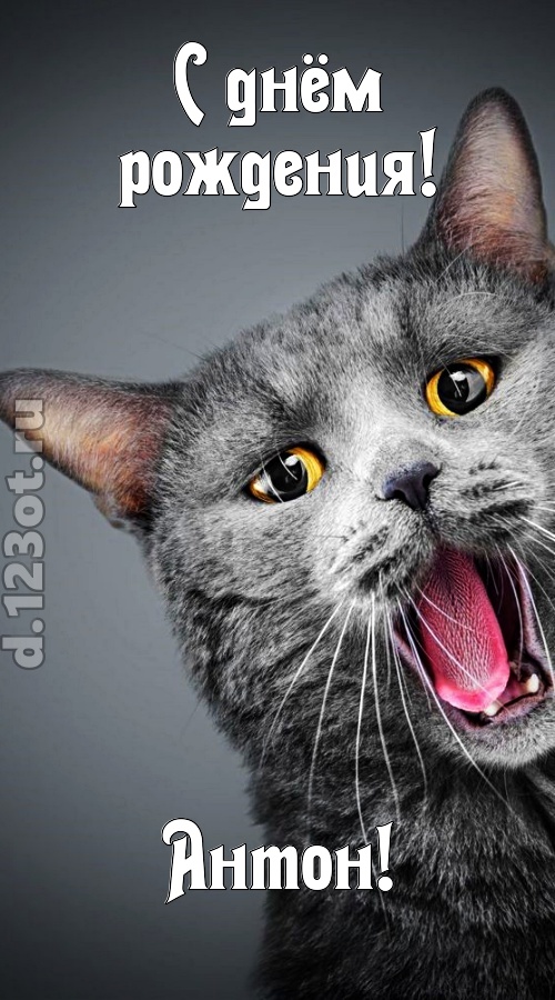 аристократичная открытка с днём рождения антон, скачать онлайн бесплатно на iphone для вацап, поздравление антон