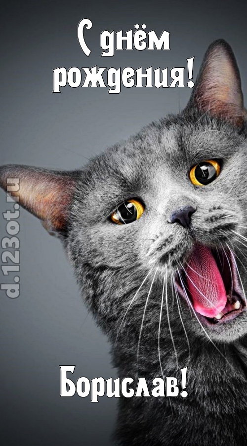 аристократичная открытка с днём рождения борислав, скачать онлайн бесплатно на iphone для вацап, поздравление борислав