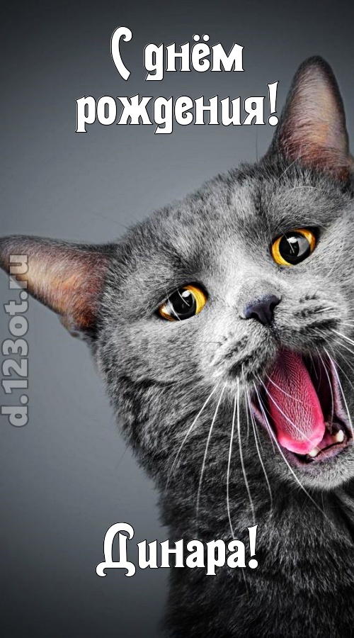 аристократичная открытка с днём рождения динара, скачать онлайн бесплатно на iphone для вацап, поздравление динара