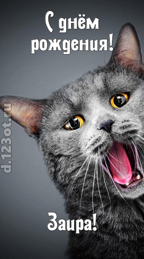 аристократичная открытка с днём рождения заира, скачать онлайн бесплатно на iphone для вацап, поздравление заира