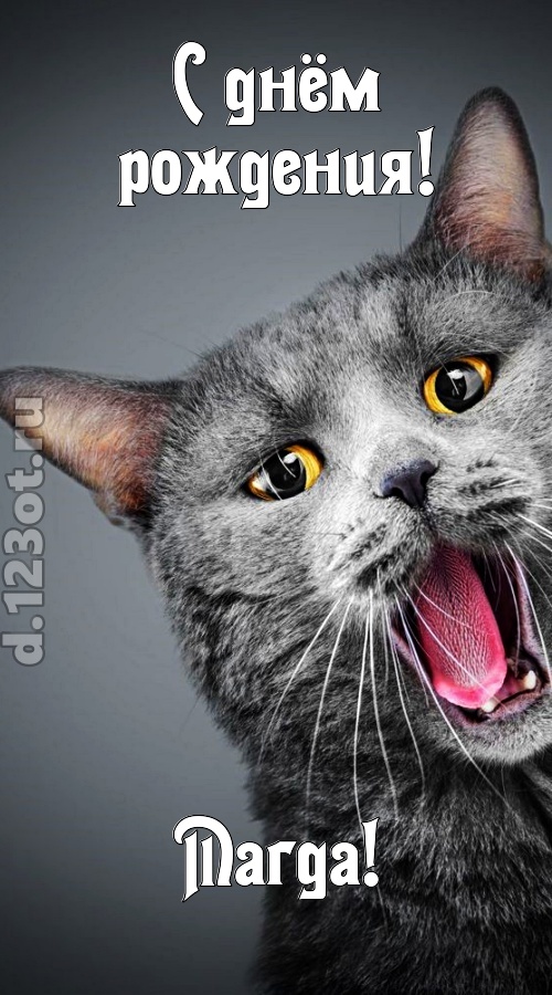 аристократичная открытка с днём рождения магда, скачать онлайн бесплатно на iphone для вацап, поздравление магда