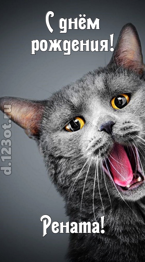 аристократичная открытка с днём рождения рената, скачать онлайн бесплатно на iphone для вацап, поздравление рената