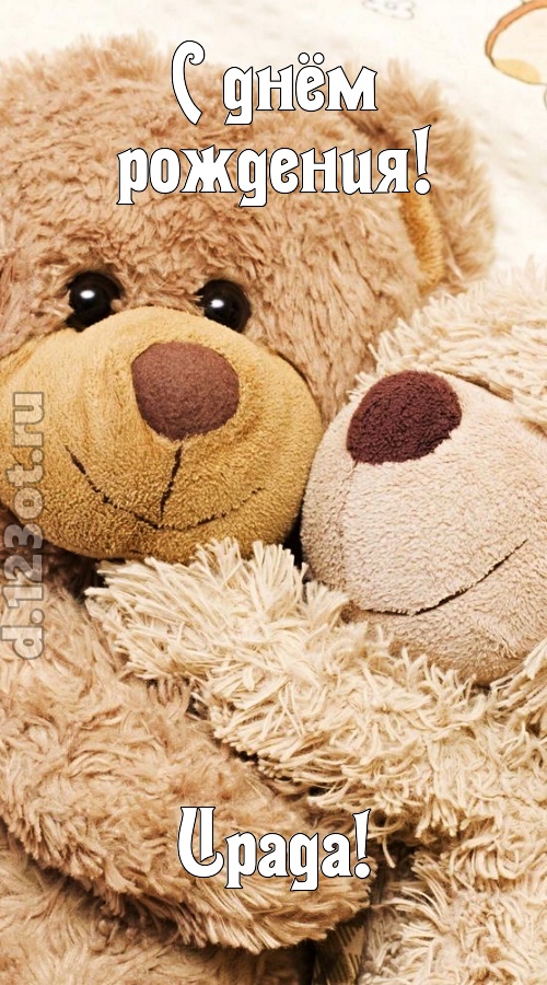 застенчивая открытка с днём рождения ирада, скачать онлайн бесплатно на iphone для вацап, поздравление ирада