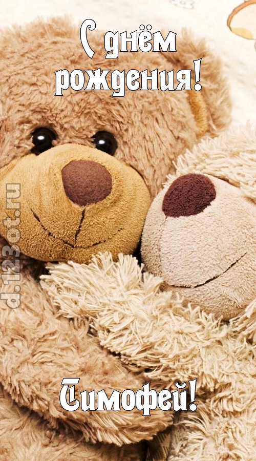 застенчивая открытка с днём рождения тимофей, скачать онлайн бесплатно на iphone для вацап, поздравление тимофей