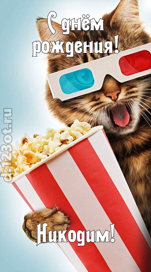 индивидуальная открытка с днём рождения никодим, скачать онлайн бесплатно на iphone для вацап, поздравление никодим